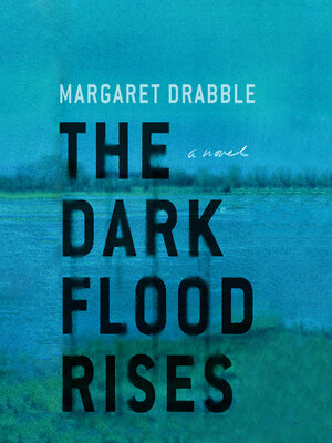 cover image of The Dark Flood Rises